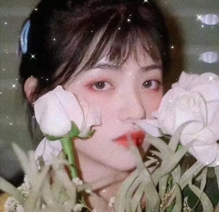 姐妹衰到爆